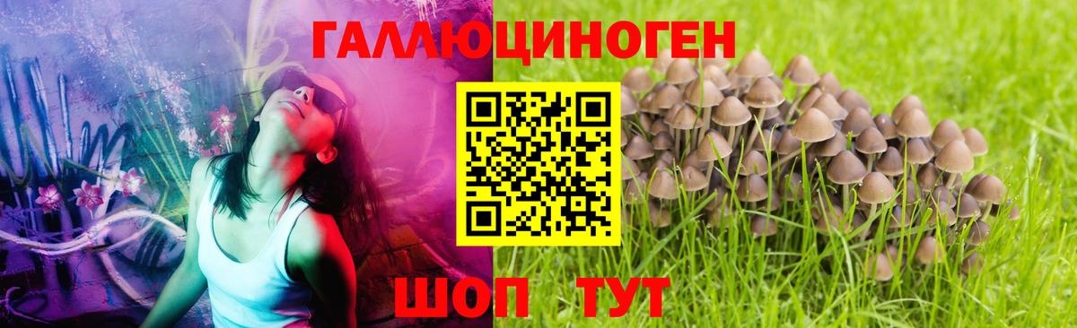 Галлюциногенные грибы мицелий  Вход с VPN  Губкинский 
